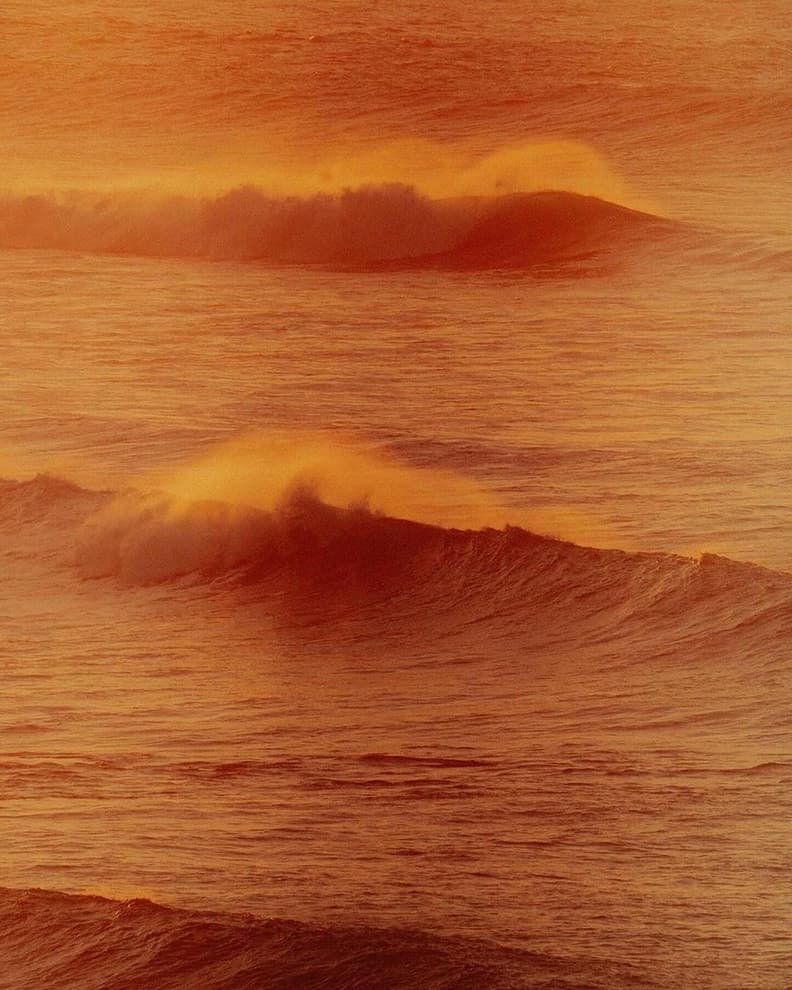 Film Lomo Redscale #15